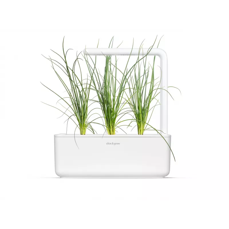 Click & Grow Smart Garden recambio, 3 cápsulas de plantas (SGR105X3)