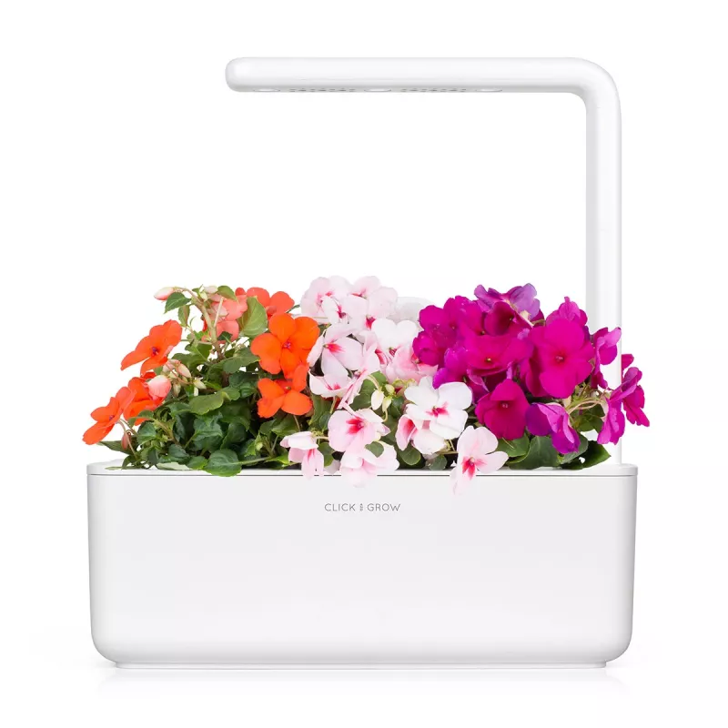 Click & Grow Smart Garden recambio de impatiens, 3 cápsulas de plantas (SGR1X3)