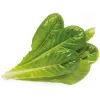 Click & Grow SGR50X3 cápsulas de plantas de lechuga recambio (pack de 3)