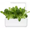 Click & Grow SGR50X3 cápsulas de plantas de lechuga recambio (pack de 3)