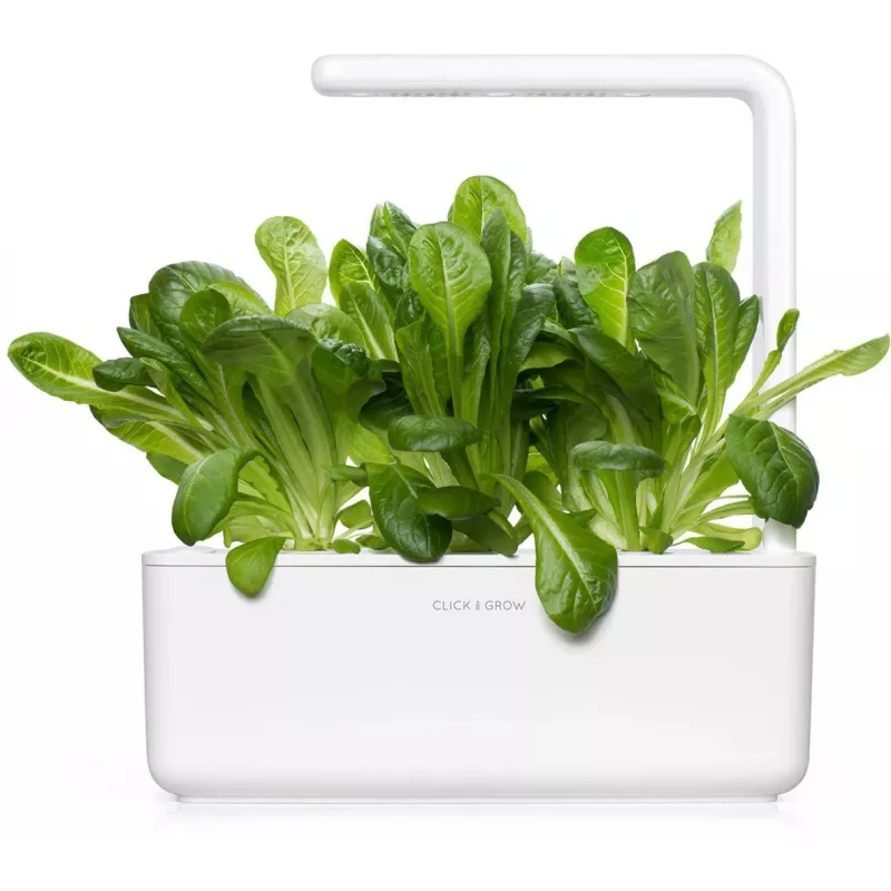 Click & Grow SGR50X3 cápsulas de plantas de lechuga recambio (pack de 3)
