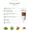 Click & Grow SGR50X3 cápsulas de plantas de lechuga recambio (pack de 3)