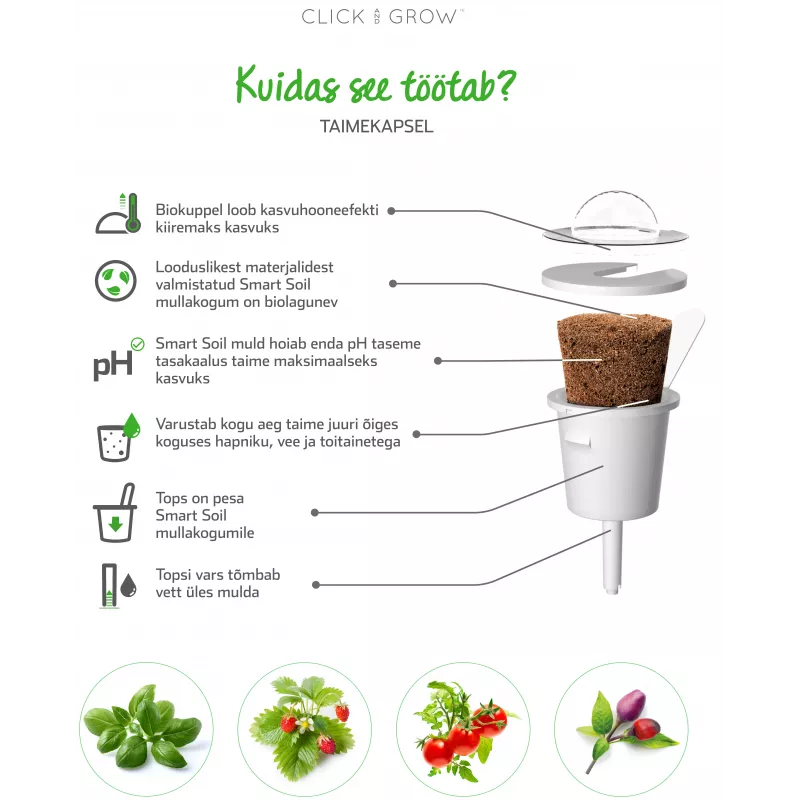 Click & Grow SGR50X3 cápsulas de plantas de lechuga recambio (pack de 3)