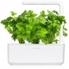 Click & Grow cápsulas de apio para Smart Garden, pack de 3 (SGR97X3)