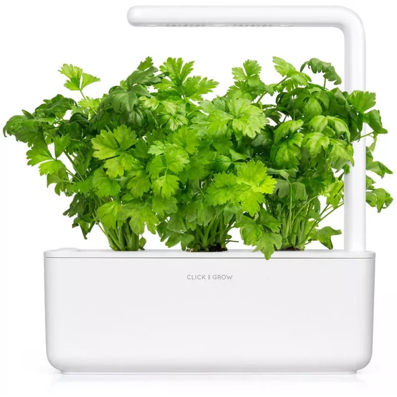 Click & Grow cápsulas de apio para Smart Garden, pack de 3 (SGR97X3)