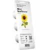 Click & Grow cápsulas de girasol enano para Smart Garden, pack de 3 (SGR65X3)