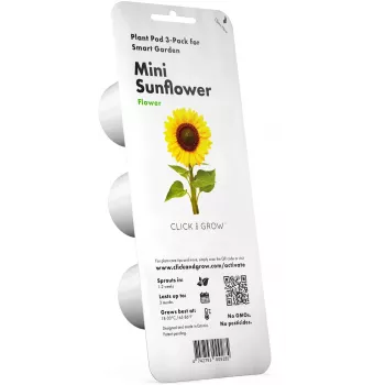 Click & Grow cápsulas de girasol enano para Smart Garden, pack de 3 (SGR65X3)