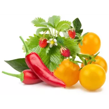 Click & Grow cápsulas de plantas mix de frutas y verduras para Smart Garden, pack de 9 (PPMFVX9)