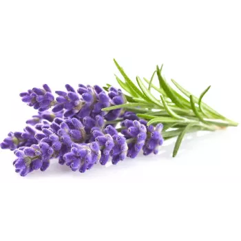 Click & Grow Smart Garden recambio lavanda, 3 cápsulas de plantas (SGR30X3)