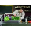 Click & Grow Smart Garden 9, gris (SG9S8UNI)