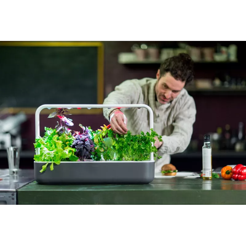 Click & Grow Smart Garden 9, gris (SG9S8UNI)