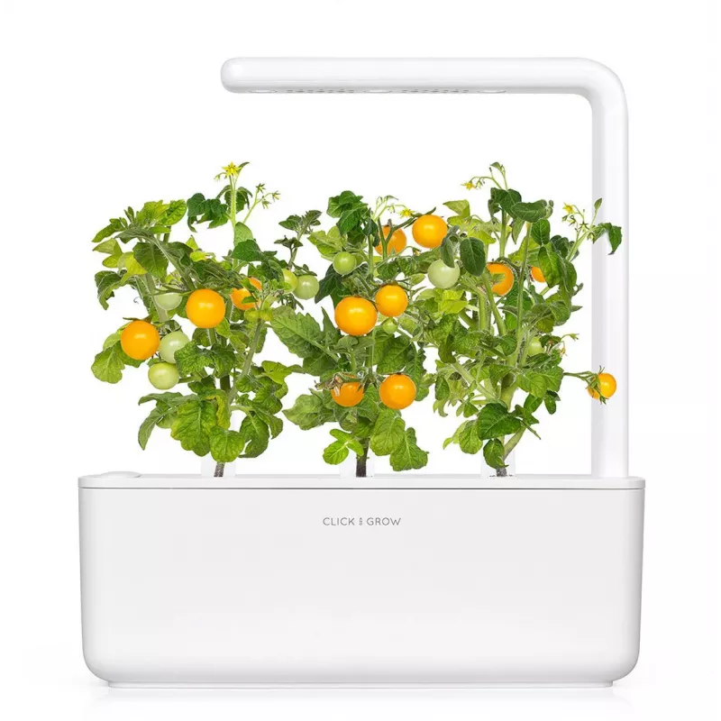 Click and Grow Smart Garden Refill pack de 3 cápsulas de plantas de mini tomate