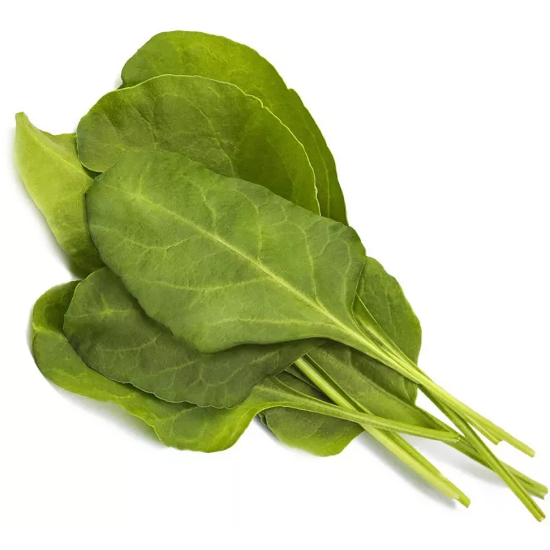 Click & Grow Smart Garden recambio de acelga verde, 3 cápsulas de plantas (SGR64X3)