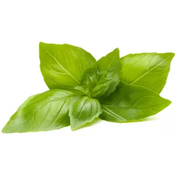 Cápsulas de plantas de albahaca limón Click & Grow para Smart Garden, pack de 3 (SGR76X3)
