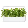 Cápsulas de plantas de albahaca limón Click & Grow para Smart Garden, pack de 3 (SGR76X3)