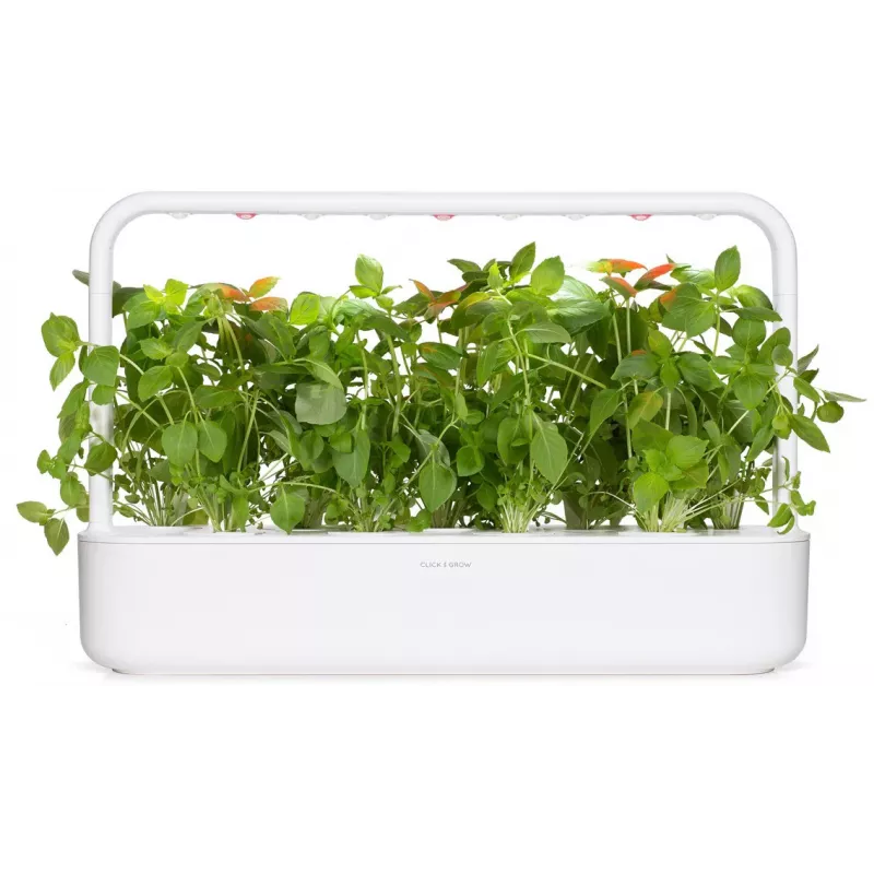 Cápsulas de plantas de albahaca limón Click & Grow para Smart Garden, pack de 3 (SGR76X3)