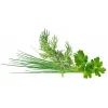 Click & Grow Plant Pod Classic Garnish Mix, 9 uds. (PPMCGX9)