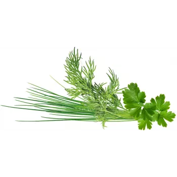 Click & Grow Plant Pod Classic Garnish Mix, 9 uds. (PPMCGX9)