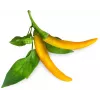 Cápsulas de plantas de guindilla Click & Grow SGR60X3 (pack de 3)