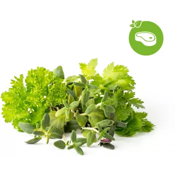 Cápsulas de plantas de mezcla de hierbas para steak Click & Grow para Smart Garden, pack de 9 (PPMSSX9)