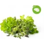 Cápsulas de plantas de mezcla de hierbas para steak Click & Grow para Smart Garden, pack de 9 (PPMSSX9)
