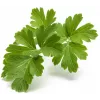 Cápsulas de perejil Click & Grow SGR68x3 (pack de 3)