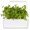 Cápsulas de perejil Click & Grow SGR68x3 (pack de 3)