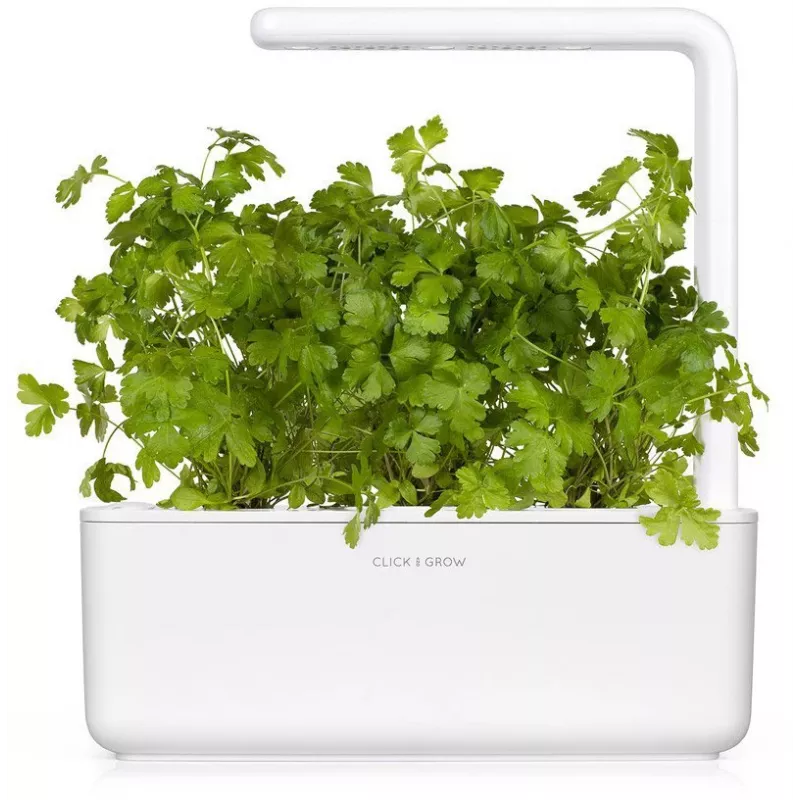 Cápsulas de perejil Click & Grow SGR68x3 (pack de 3)