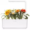 Cápsulas de gazania Click & Grow para Smart Garden, pack de 3 (SGR92X3)