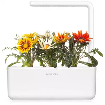 Cápsulas de gazania Click & Grow para Smart Garden, pack de 3 (SGR92X3)