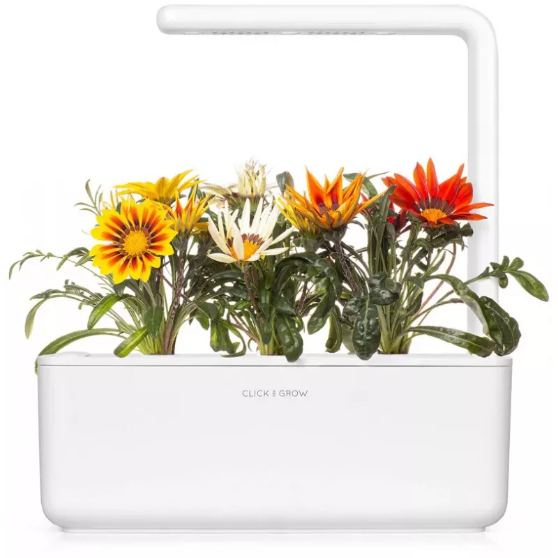 Cápsulas de gazania Click & Grow para Smart Garden, pack de 3 (SGR92X3)
