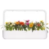 Cápsulas de gazania Click & Grow para Smart Garden, pack de 3 (SGR92X3)