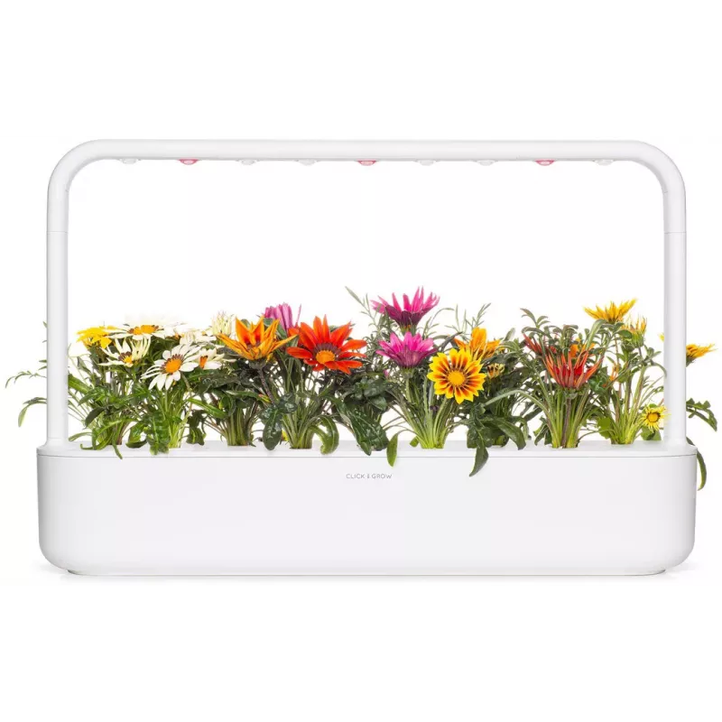 Cápsulas de gazania Click & Grow para Smart Garden, pack de 3 (SGR92X3)