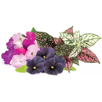 Cápsulas Vibrant Flower Mix Click & Grow para Smart Garden, pack de 9 (PPMVBX9)