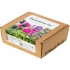 Cápsulas Vibrant Flower Mix Click & Grow para Smart Garden, pack de 9 (PPMVBX9)