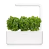 Click & Grow Smart Garden recambio de albahaca enana, 3 cápsulas de plantas (SGR21X3)