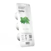 Click & Grow Smart Garden recambio de hierba gatera, 3 cápsulas de plantas (SGR29X3)