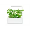 Click & Grow Smart Garden recambio de hierba gatera, 3 cápsulas de plantas (SGR29X3)