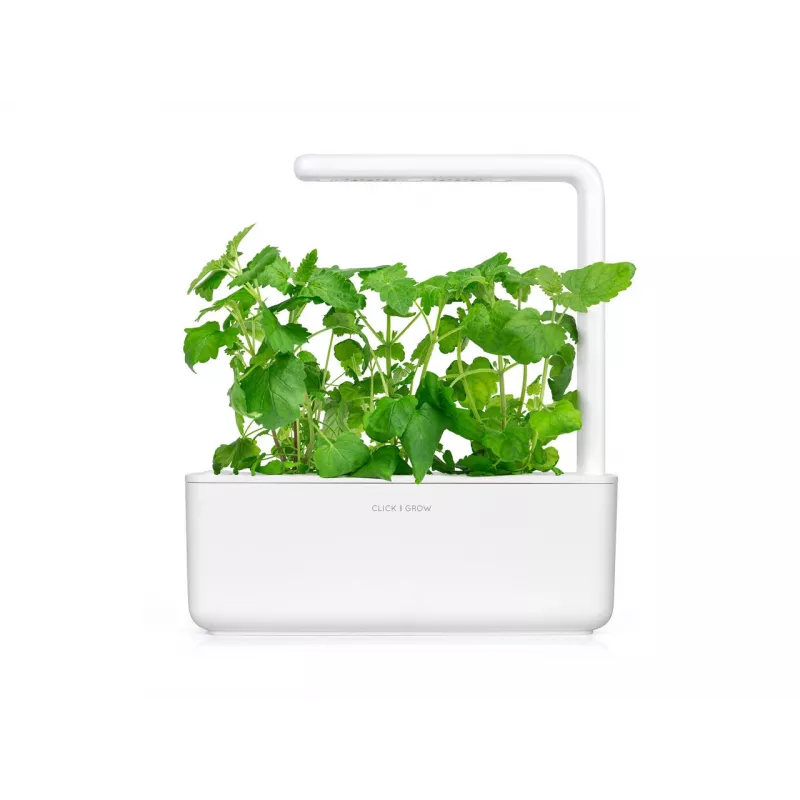Click & Grow Smart Garden recambio de hierba gatera, 3 cápsulas de plantas (SGR29X3)