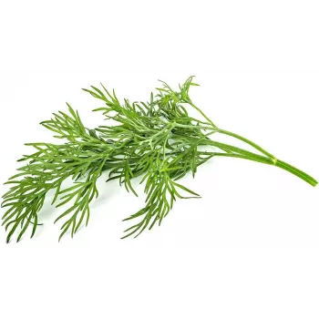 Recambio de cápsulas de eneldo Click & Grow SGR49x3 pack de 3