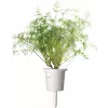 Recambio de cápsulas de eneldo Click & Grow SGR49x3 pack de 3