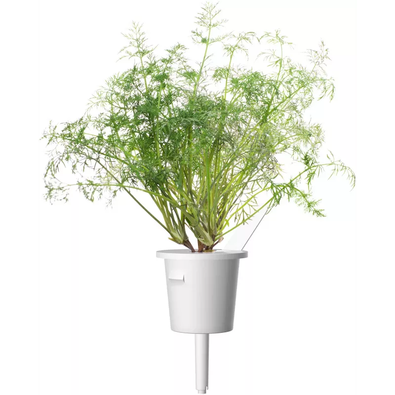 Recambio de cápsulas de eneldo Click & Grow SGR49x3 pack de 3