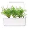 Recambio de cápsulas de eneldo Click & Grow SGR49x3 pack de 3