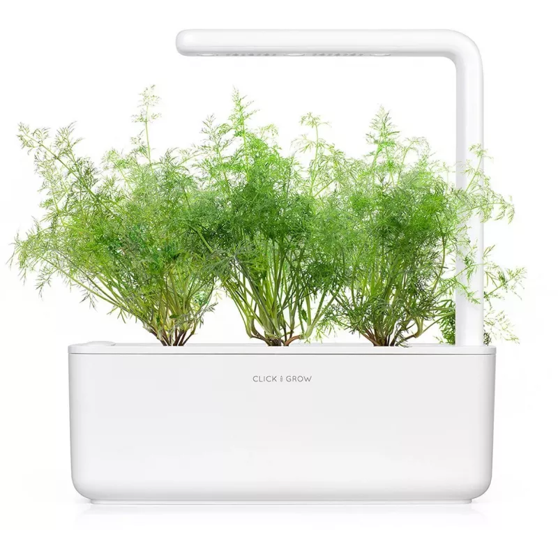 Recambio de cápsulas de eneldo Click & Grow SGR49x3 pack de 3