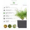 Recambio de cápsulas de eneldo Click & Grow SGR49x3 pack de 3