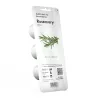 Click & Grow Smart Garden recambio de romero, 3 cápsulas de plantas (SGR51X3)