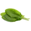 Cápsulas de acedera Click & Grow para Smart Garden, pack de 3 (SGR55X3)
