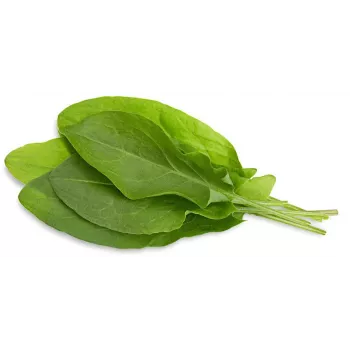 Cápsulas de acedera Click & Grow para Smart Garden, pack de 3 (SGR55X3)