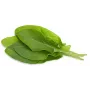 Cápsulas de acedera Click & Grow para Smart Garden, pack de 3 (SGR55X3)
