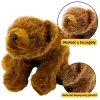 LEAN TOYS peluche oso marrón peluche 28cm